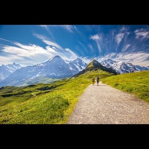 Meet your Posher, Rosa